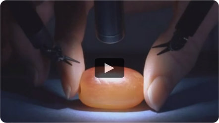 Watch as a surgeon uses the da Vinci Robot to remove the skin from a grape. This helps to demonstrate the preciseness of da Vinci robotic surgery.