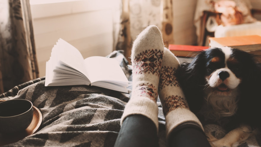 A cozy fall or winter day. Warm stockings on lounging feet, an open book next to them as well as their loving dog.